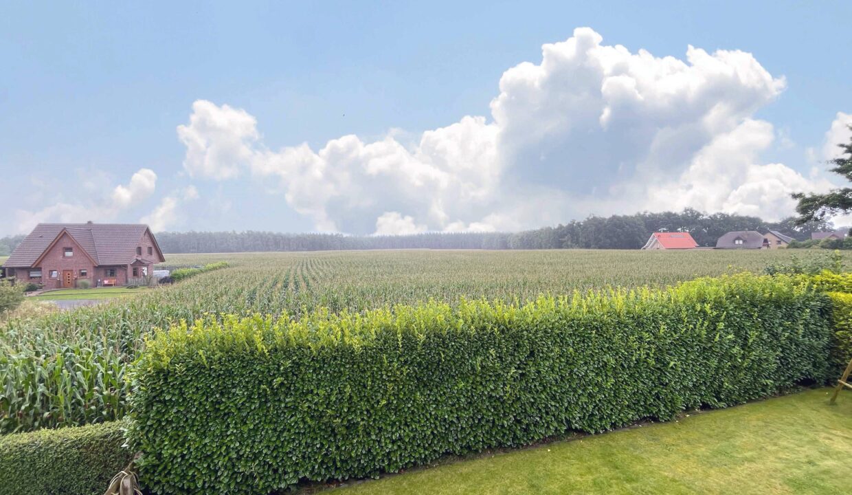 Blick ins Grüne - Feldrandlage